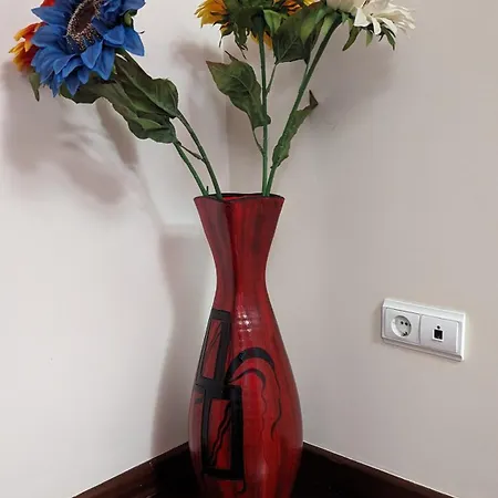 Holiday home Levada Nova House