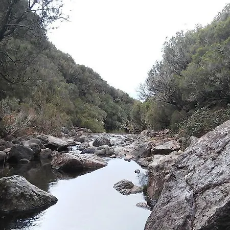 Levada Nova House *