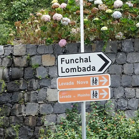 Levada Nova House Holiday home *