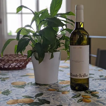 Levada Nova House Дом отдыха Понта-ду-Сол