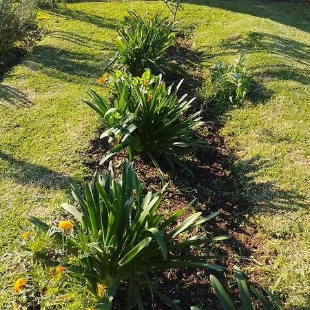 Дом отдыха Levada Nova House Понта-ду-Сол