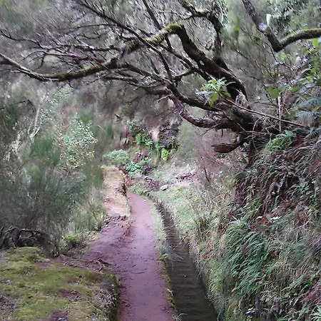 Levada Nova House Дом отдыха Понта-ду-Сол