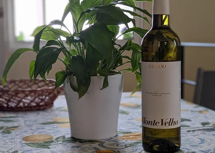 Levada Nova House Dom wakacyjny Ponta do Sol (Madeira)