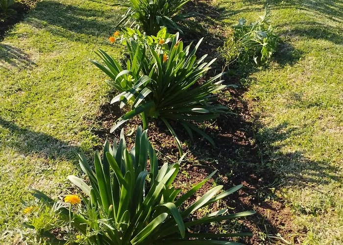 Nyaraló Levada Nova House Ponta do Sol