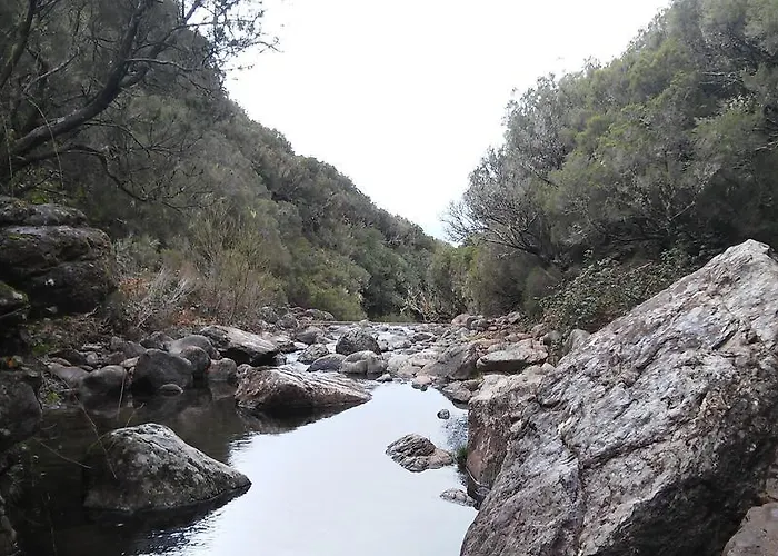 Levada Nova House *