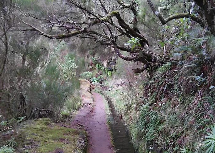 Levada Nova House Dom wakacyjny Ponta do Sol (Madeira)