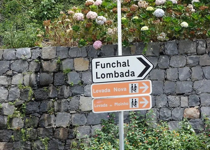 Levada Nova House Dom wakacyjny *